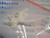 RCA 250193 / PANASONIC VMLS0749 / ROLLER / IW163 / 1 PIECE (qzty)
