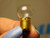 12VOLT BAYONET BULB, LAMP  / 6 PIECES (qzty)