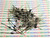 1N4004 / DIODE / 100 PIECES (qzty)
