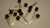 MPSA92 / TRANSISTOR / 12 PIECES / (qzty)