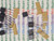 2N3906 / TRANSISTOR / 10 PIECES / (qzty)
