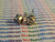 2SC2034 /  TRANSISTOR / 2 PIECES (QZTY)