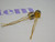 2N5339 / TRANSISTOR / TO5 / 2 PIECES (qzty)