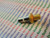 1N1086A  / DIODE / RARE / 1 PIECES (qzty)