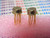 DG200BA / TO100 / 2 PIECES (qzty)