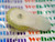  IDLER / IW71 / HITACHI 0897094, 6897095 / 1 PIECE / qzty