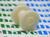 SONY / 3-668-963-03 / ROLLER, RING / IW205 / 1 PIECE (qzty)