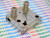 R0006GE / for SHARP / VCR RF MODULATOR / RM-17 / 1 PIECE (qzty)
