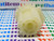 SONY / 3-958-156-03 / GEAR / IW251 / 1 PIECE (qzty)