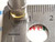 507-5838 / NEON BULB,LAMP / DIALCO /  4 PIECES (qzty)