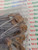 FILM CAPACITOR / 25R / 1KV 5 PIECES (qzty)