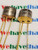 2N1711 / JAN2N1711 / TRANSISTOR / TO5 / 2 PIECES (qzty)
