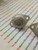 2SC1413H / C1413H / TRANSISTOR / 2 PIECES (qzty)