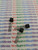 2SC785 / TRANSISTOR  / 3 PIECES (qzty)