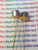 2N5022 / TRANSISTOR / 2 PIECES / (qzty)