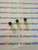 2SC693 / TRANSISTOR / 3 PIECES (qzty)