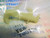 RCA 190108 / PANASONIC VMLS0508 / ARM / IW151 / 1 PIECE (qzty)