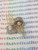 2N5912 / TRANSISTOR / 2 PIECES / (qzty)