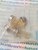2N5908 / TRANSISTOR / 4 PIECES / (qzty)