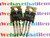 2SD1069 / D1069 / TRANSISTOR / TO220 / 2 PIECES (qzty)