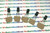 2SC3242 / TRANSISTOR / / FORMED LEADS / 6 PIECES / QZTY