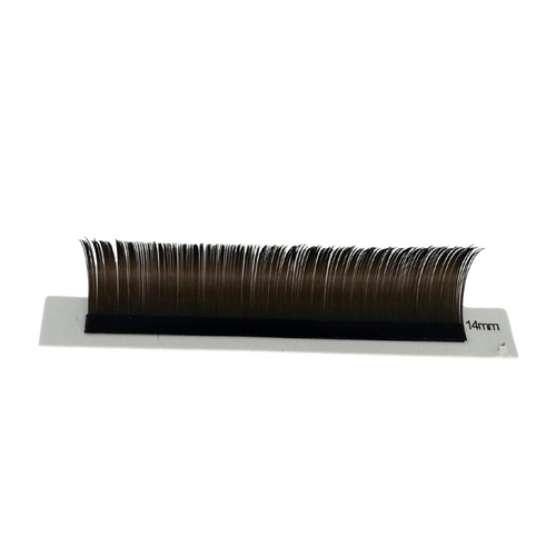 A row of chocolate brown eyelash extensions