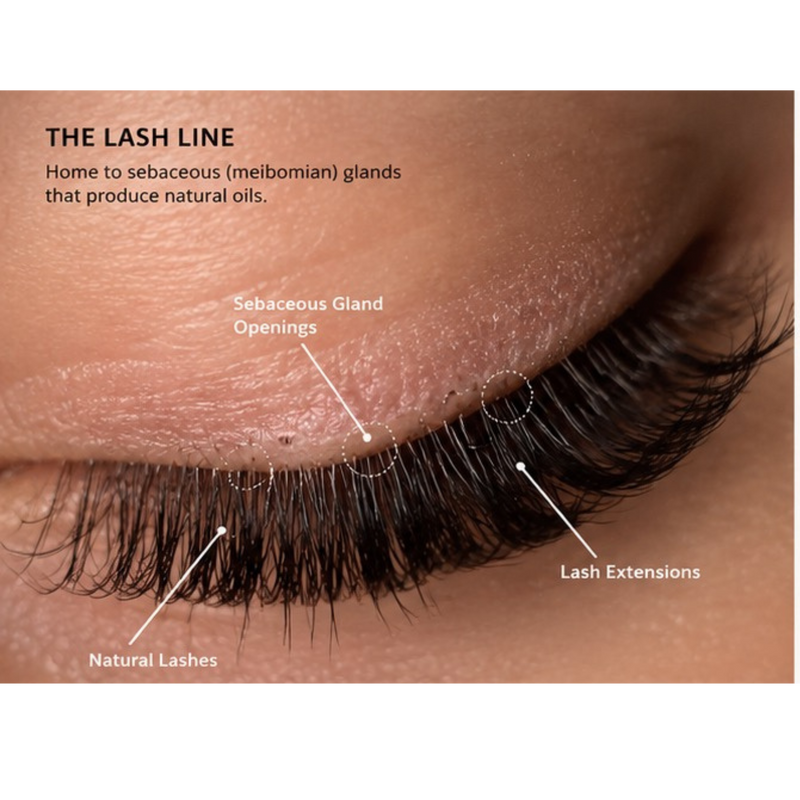 THE SCIENCE BEHIND DAILY LASH CLEANSING