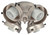 4 Light Medium Base Fitter in Brushed Polished Nickel