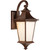 Argent II LED 1 Light Medium Wall Mount in Aged Bronze with Clear Seeded Glass