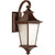 Argent II LED 1 Light Medium Wall Mount in Aged Bronze with Clear Seeded Glass