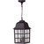 Craftmade Z571-TB Grid Cage 3 Light Outdoor Pendant in Textured Black
