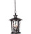 Summerhays 3 Light Pendant in Oiled Bronze Gilded with Clear Hammered Glass