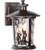 Summerhays 3 Light Large Wall Mount in Oiled Bronze Gilded with Clear Hammered Glass