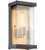 Farnsworth 1 Light Small Wall Mount in Midnight/Patina Aged Brass with Clear Seeded Glass