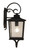 Craftmade ZA2904-DBG Tillman 1 Light Small Outdoor Wall Lantern in Dark Bronze Gilded