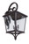Tillman 3 Light Extra Large Outdoor Wall Lantern in Dark Bronze Gilded