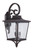 Tillman 3 Light Extra Large Outdoor Wall Lantern in Dark Bronze Gilded