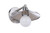 Craftmade 12508BNK1 Isaac 1 Light Wall Sconce in Brushed Polished Nickel