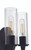 Craftmade 38062-ESP Modina 8 in. 2 -Light Espresso Finish Vanity Light with Clear Glass