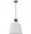 Parker 1 Light Pendant in Fired Steel/Satin Brass