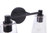 Craftmade 12615FB2 Emilio 15.13 in. 2 Light Flat Black Finish Vanity Light with Clear Glass Shade