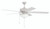 Craftmade OS211W5 Outdoor Super Pro Plus-211 60 in. Indoor/Outdoor Dual Mount White Ceiling Fan with Optional LED Bowl Light Kit