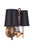 Craftmade 53262-SB Tarryn 2 Light Wall Sconce in Satin Brass