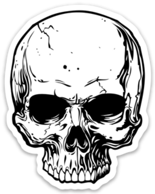 Skull | Die Cut Sticker