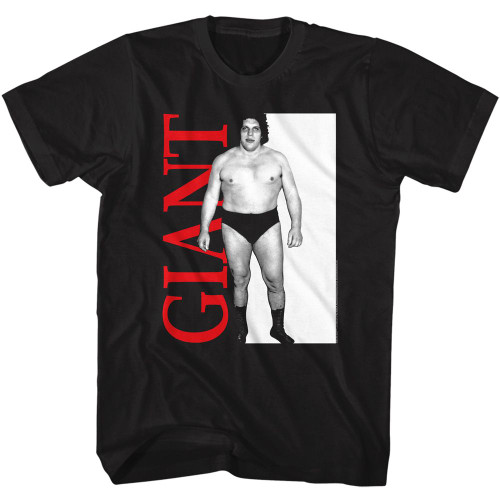 ANDRE THE GIANT ANDRE GIANT s/s tee