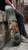 Warrant | D.R.F.S.R | Skateboard Deck