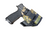 Quick Ship IWB cronus sig P365 AXG Legion