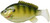 FishLab Bio Gill Weedless Soft Swimbait - 4-5/8in - Ghost Bluegill