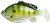 FishLab Bio Gill Weedless Soft Swimbait - 4-5/8in - Redear