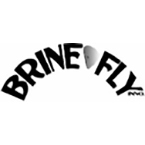 Brinefly Innovations